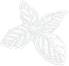 flower image