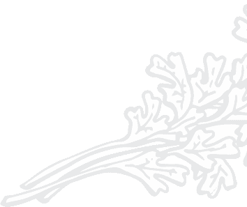 flower background right